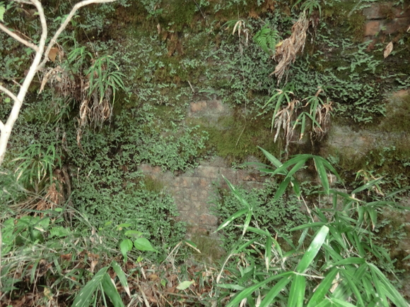 f0124601_21404480.jpg