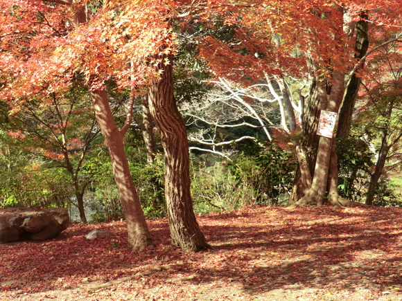 f0124601_21522088.jpg