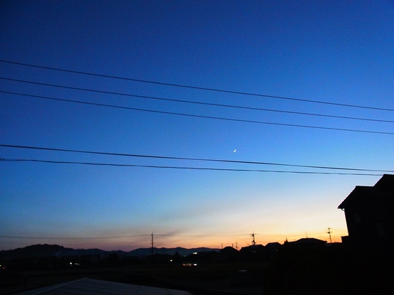 c0205806_1855859.jpg