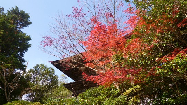 e0146907_20321819.jpg