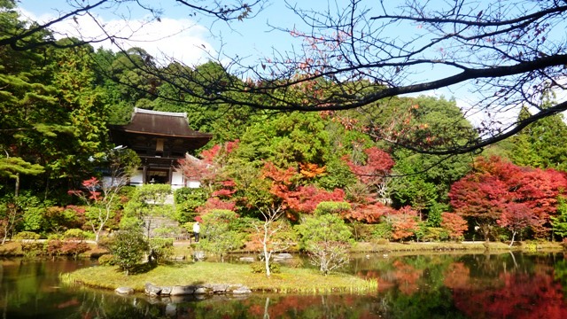 e0146907_203256100.jpg