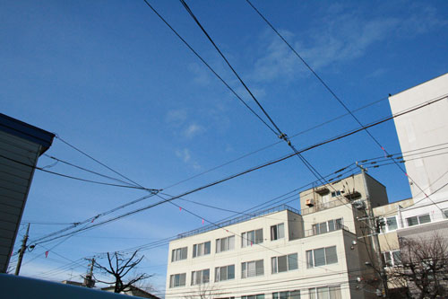 a0139912_8225164.jpg