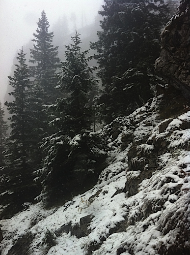 e0157816_8211076.jpg