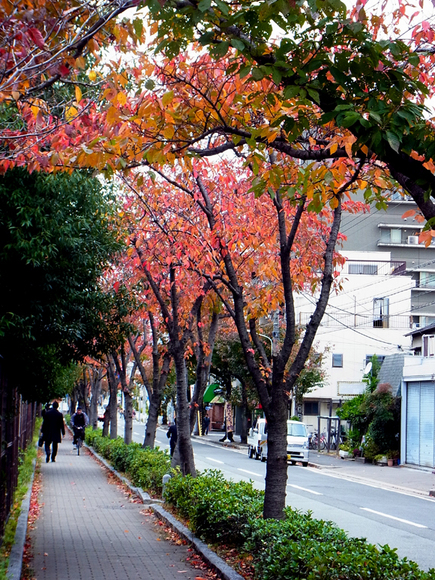 e0083517_273948.jpg