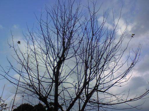 c0097620_21222333.jpg