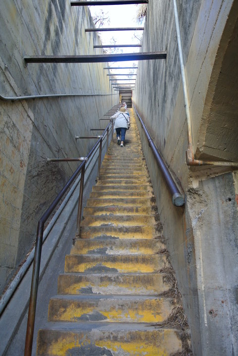 e0219520_15263474.jpg