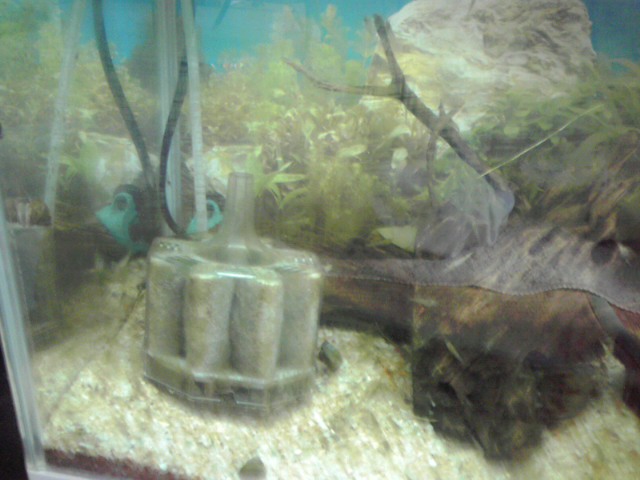 a0291521_11434547.jpg