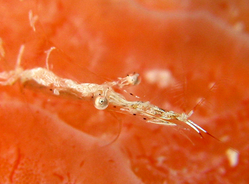 f0041021_12442546.jpg