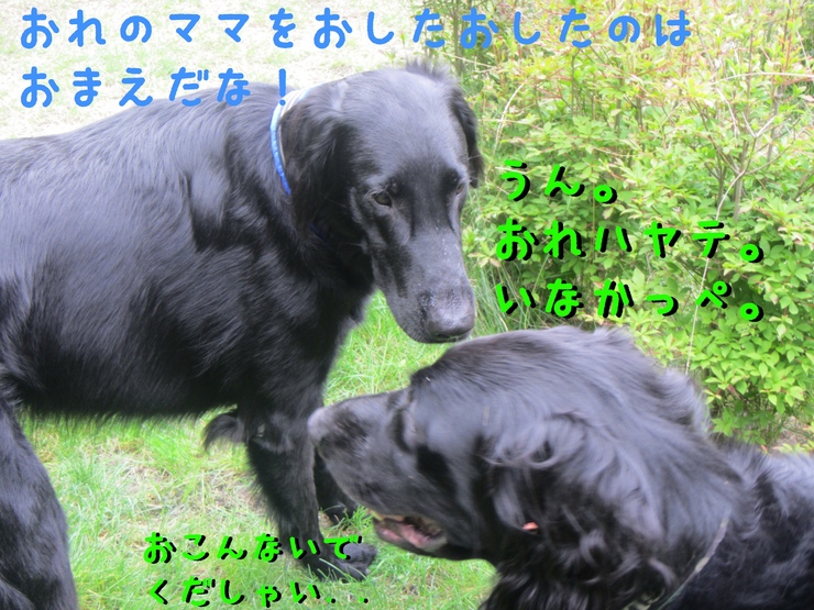 c0237824_22313963.jpg