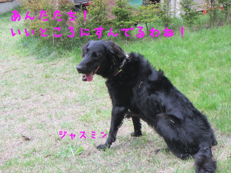 c0237824_22331667.jpg