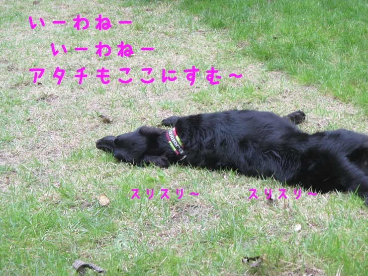 c0237824_2234354.jpg