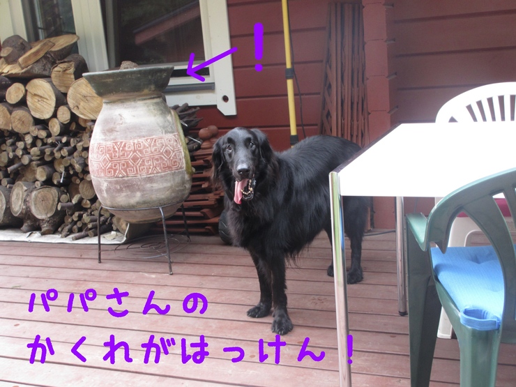c0237824_22363766.jpg