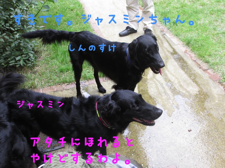 c0237824_22381221.jpg