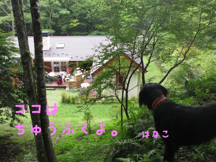 c0237824_22413930.jpg