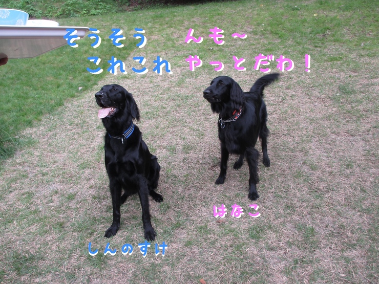c0237824_22495418.jpg