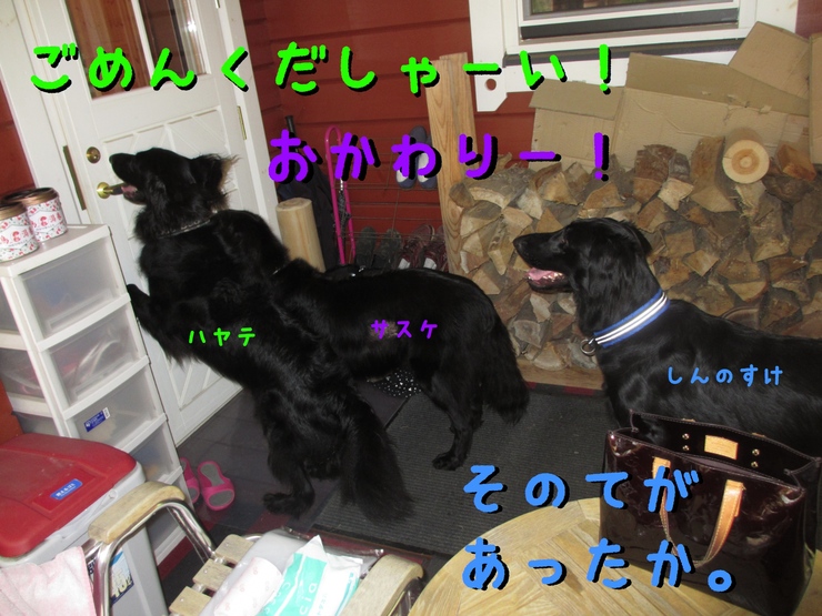 c0237824_22515614.jpg