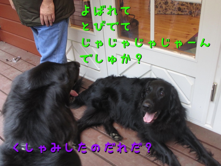 c0237824_22533149.jpg