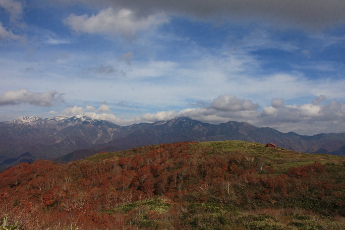 c0085028_3395673.jpg
