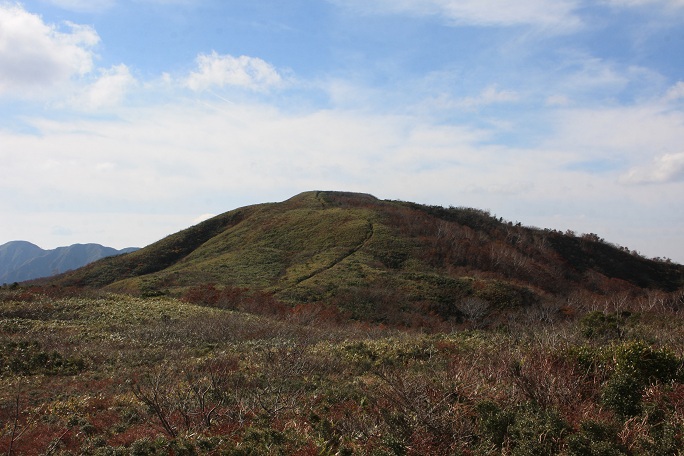 c0085028_3433481.jpg