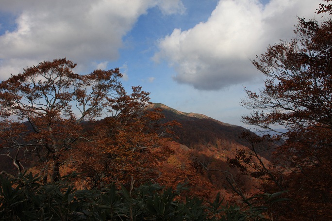 c0085028_344748.jpg