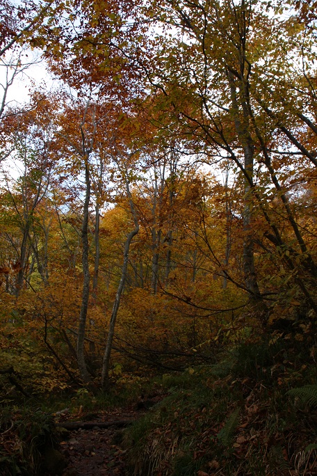 c0085028_3462953.jpg