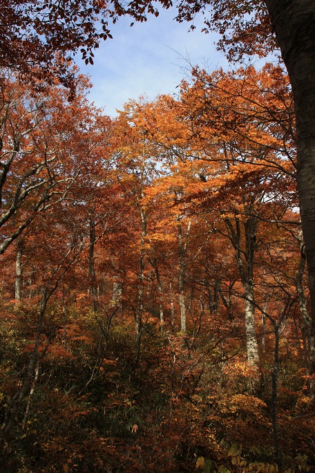 c0085028_347322.jpg