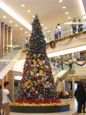 c0134734_22203.jpg