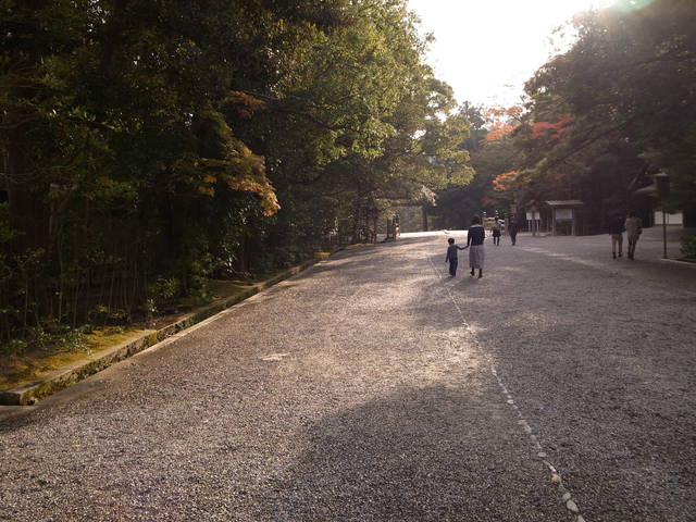 b0219843_14412072.jpg