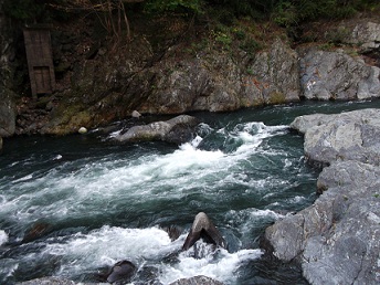 e0248844_10293287.jpg