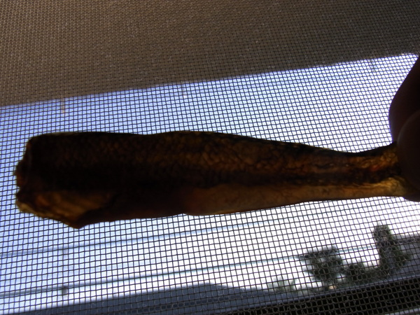 a0175545_273828.jpg