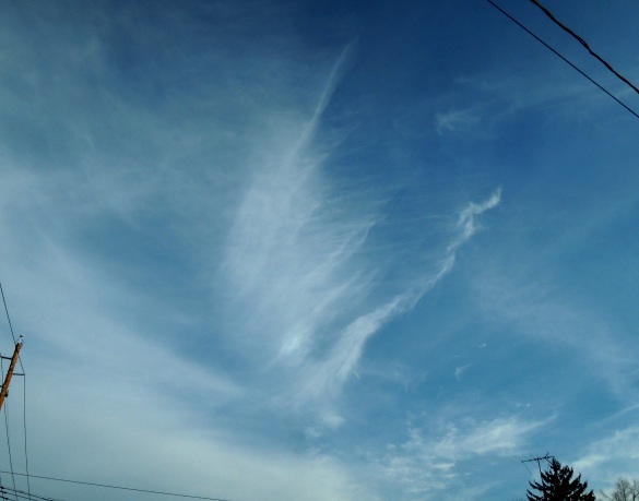 b0173754_14111968.jpg