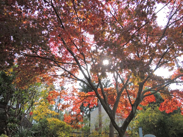 b0173754_1419197.jpg