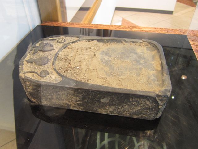 a0081957_1055278.jpg