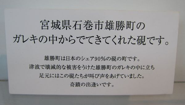 a0081957_10554361.jpg