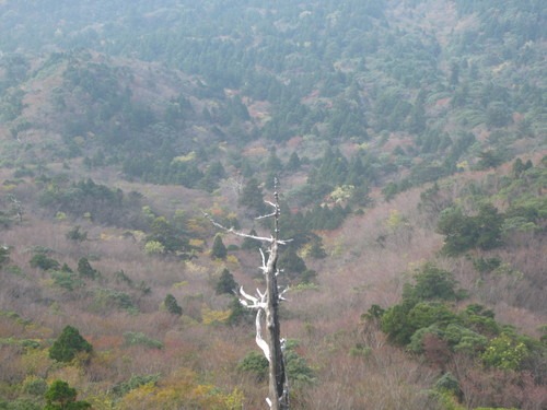 b0160957_14505840.jpg