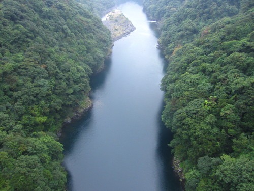 b0160957_1531674.jpg