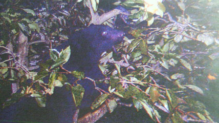 c0144868_04795.jpg