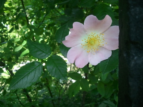 c0195369_18124983.jpg