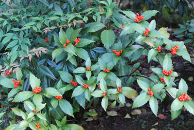 c0117570_1322215.jpg