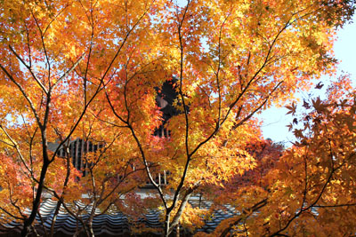 c0117570_1334230.jpg