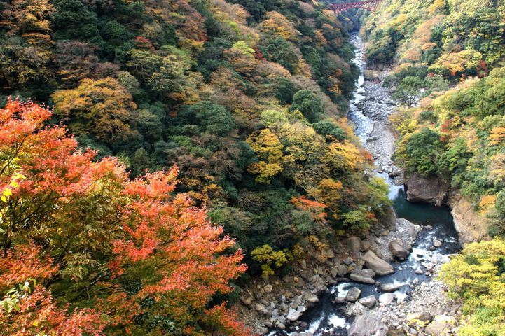 c0248473_2164891.jpg
