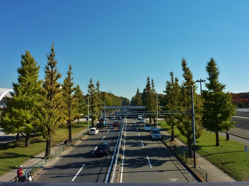 e0207477_0141037.jpg