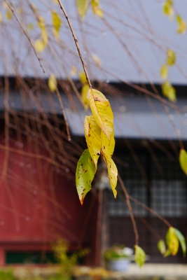 b0226089_2131111.jpg