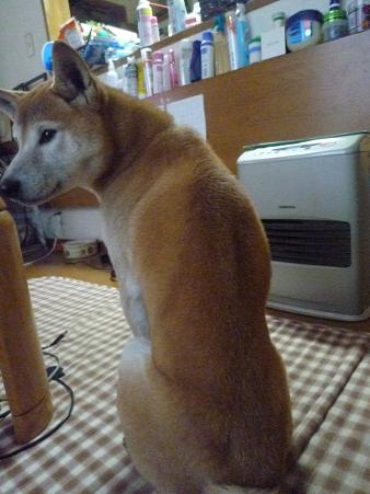 c0123890_21592171.jpg