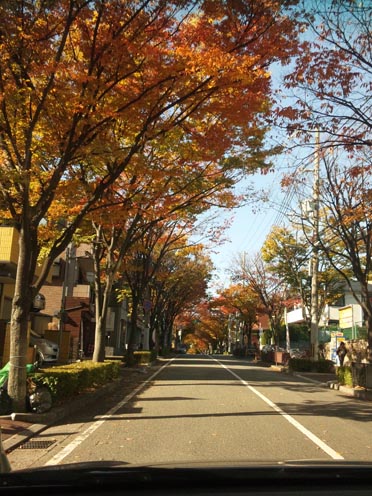 f0222692_1059178.jpg
