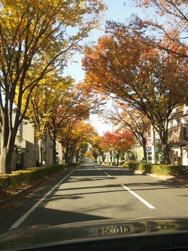 f0222692_10592821.jpg