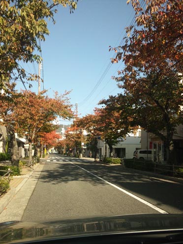 f0222692_10594149.jpg