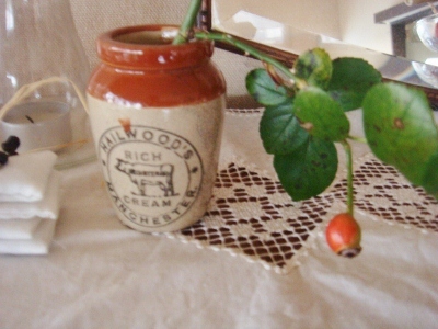 d0235093_17445248.jpg