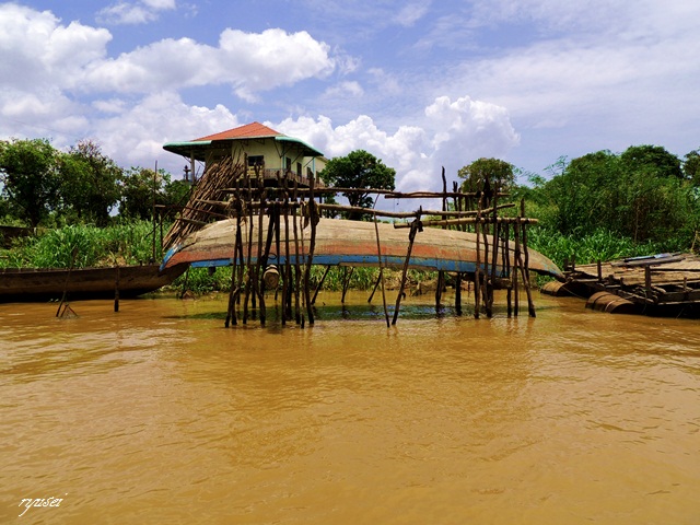 f0053297_836763.jpg