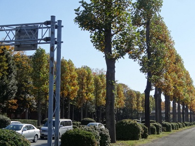 d0257298_20205035.jpg
